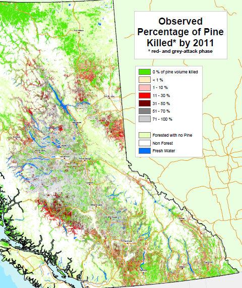 MPB AREA AFFECTED Interfor s southern BC Interior wood baskets are less exposed to the MPB than BC s central and northern interior regions; the Coast is not exposed.