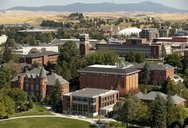 Case Study: Washington State University Microgrid Purpose of this project is to use distribution dynamic simulations to determine the capacity of microgrids to act as a resiliency resource.