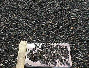 Repair: Surface seal Edges of coarse aggregate have been