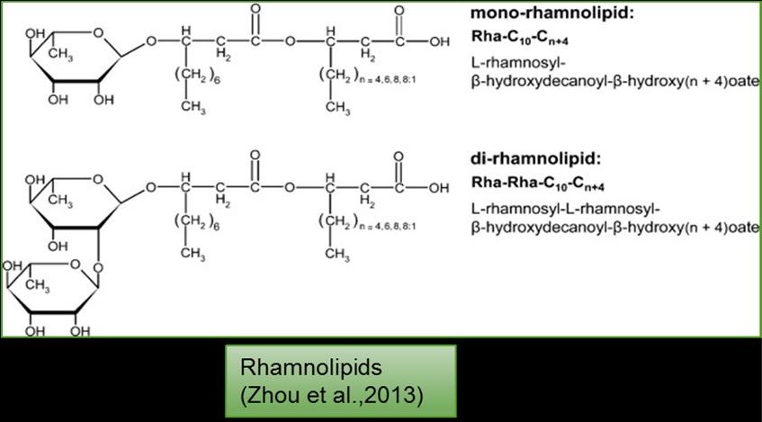 HPLC / Mass spectrum of rhamnolipids S#: 3-62 RT: 0.04-1.00 AV: 60 NL: 2.82E7 F: - c ms [ 200.00-800.