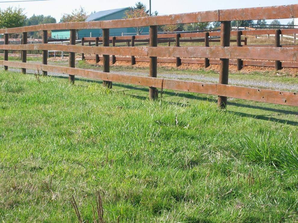Pasture Establishment Best to plant in the fall so that the pastures are ready for spring