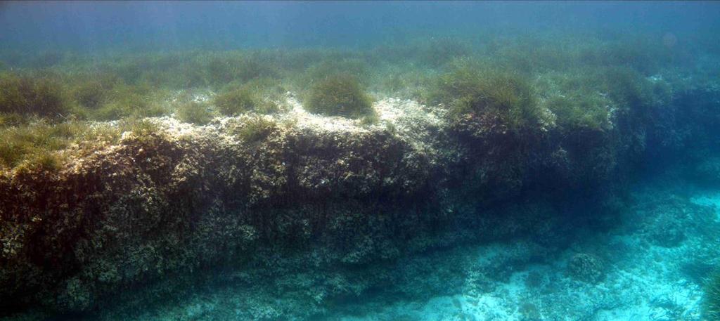 seafloor with organic-rich materials that are preserved over millennia (if