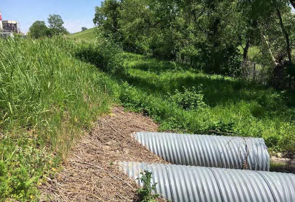 31 Date: May 15, 2017 Direction: Southeast Description: Outfall 007A on south side of Storm Water Settling Pond.