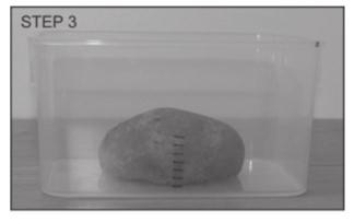 Cut off the bottom of the potato lengthwise so that it can rest stably (flat) in the tub. 2. Place the potato in the empty container and cover it with the lid. The potato represents an island. 3.