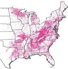 the stand that are highly favored by gypsy moths (Figure 1) (USDA Forest Service 1990).