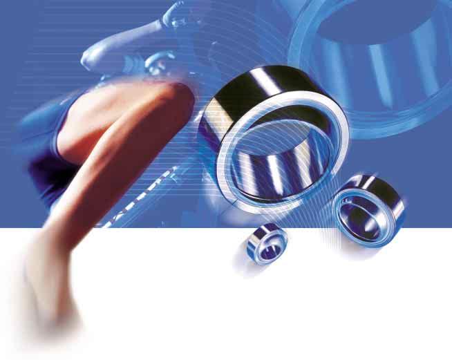 SKF spherical plain bearings. The machines joints.