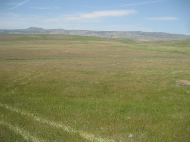 Environmentally-Sensitive Design, Sustains Ranching Operations Site plan carefully designed to protect species,