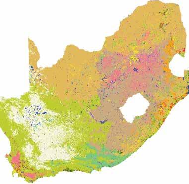 11. APPENDIX E: METHODOLOGY FOR LAND COVER AND LAND USE CHANGE MATRIX Modelling of Land-Cover Change in South Africa (2001 2010) in Support of Green House Gas Emissions Reporting Summary Report &