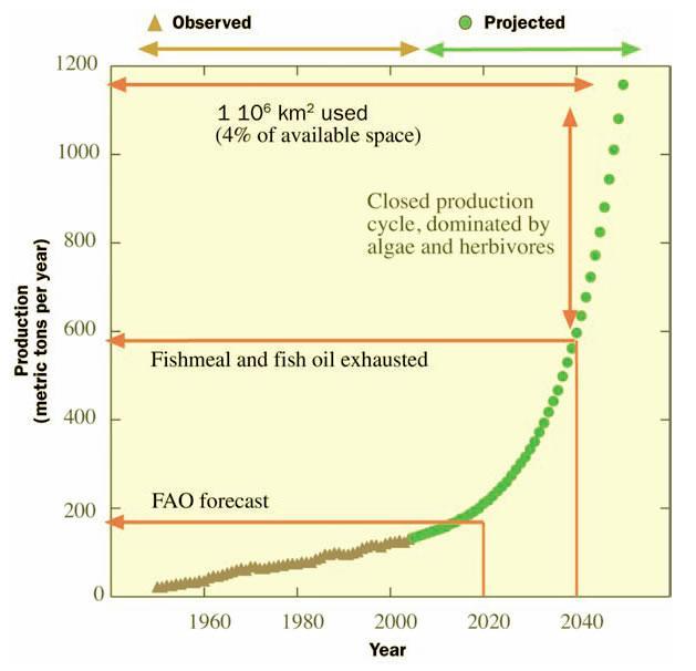 There are Some Major Bottlenecks: Feed, Space and Environmental Hazards Must be Overcome Maximum possible yield of fishmeal will cap mariculture production at 450 to 500 million tons/yr by 2040