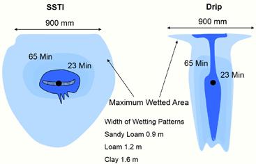 When comparing SSTI with surface drip, using the same amount of water, SSTI can cover 2.