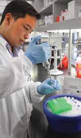 Enabling rare cell analysis for life sciences applications DEPArray technology can be used for isolation and recovery of any rare cell type that