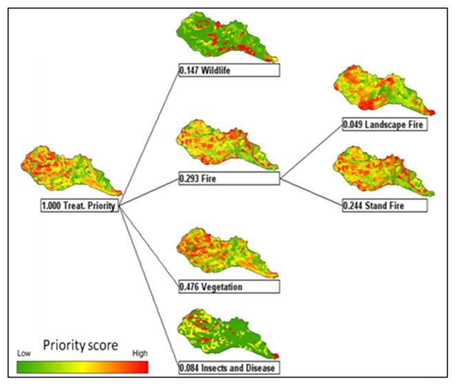 (HRV & FRV) Landscape Rx Patch Types Patch Size & Pattern