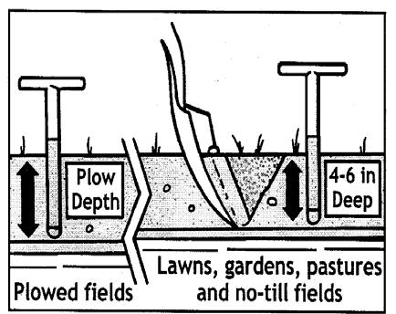 Soil Testing Soil testing tells you the fertility status of the soil and how much, if any, additional nutrients are needed for the particular crop.