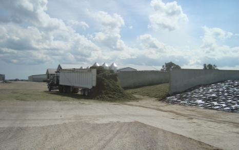 WI Standards Collection Based on potential silage volume