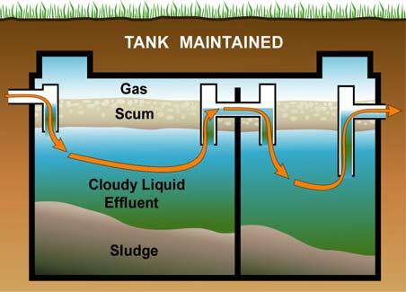Components of a septic system Wastes from the house pass through the house main drain, or sewer line, into the septic tank.