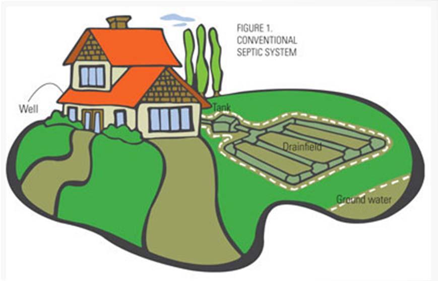 Types of Septic Systems Most