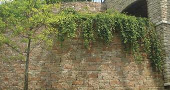 For taller wall projects use geogrid to reinforce the wall, or consider optional techniques using masonry, nofines, rock bolts, soil nails, or earth anchors.