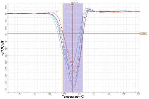 1. Description (continued) Expected target melt temperature range Melt threshold 4933TB Figure 3. Representative Plexor melt curves.