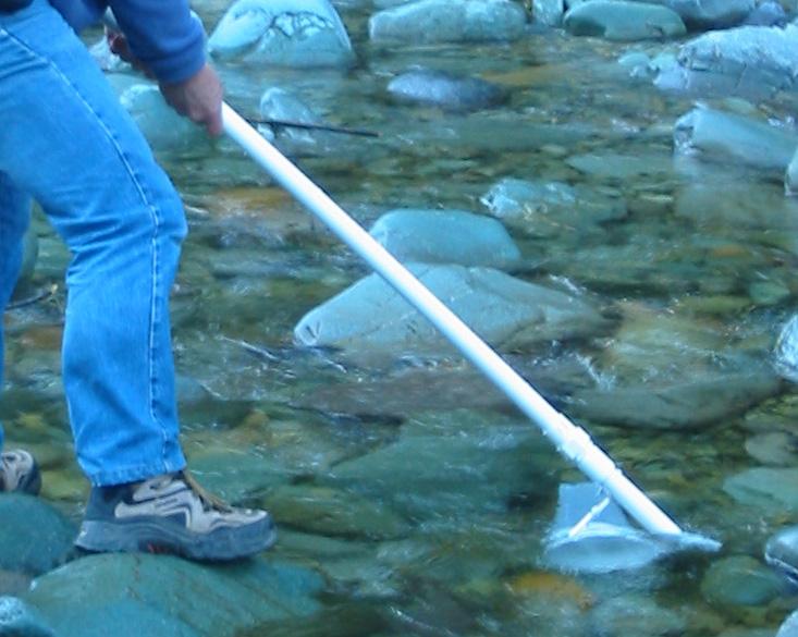 Field guide for didymo DNA sample collection 5 Hicks handle net drift sampling protocol WET COLLECTOR 1. Put on disposal gloves before handling any equipment. 2.