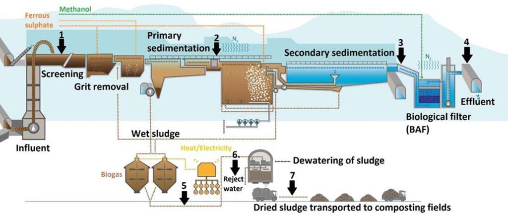 Selected WWTP Process Scheme Samples from influent (1), primary effluent (2), secondary