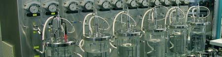 of bioreactors, which meet any specific requirement.