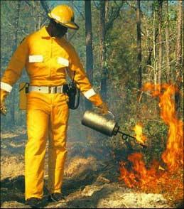 Florida s Prescribed Fire Act: Liability Protection No property owner or his/her agent, conducting a prescribed burn pursuant to the