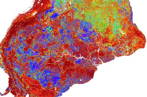 Methodology for global implementation MODIS