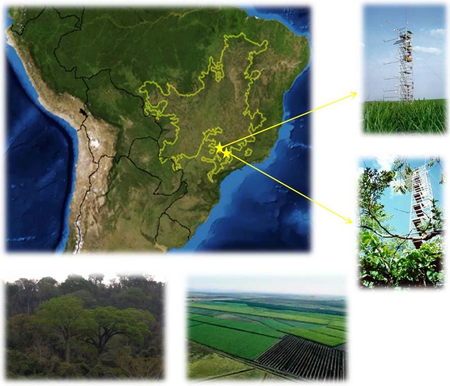 Tropical Biome: Brazilian Cerrados (Savannas) PDG - Eddy flux tower