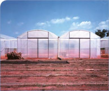 BENEFITS OF Greenhouse film manufactured to suit South African environmental conditions.