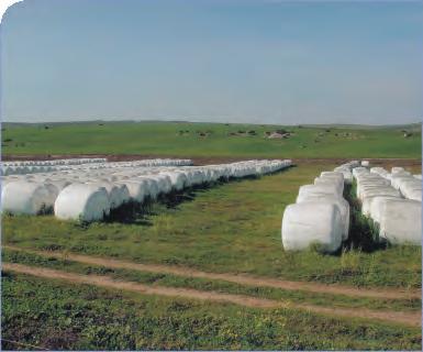 Feed your animals with top quality fodder, well preserved by FODDERWRAP.