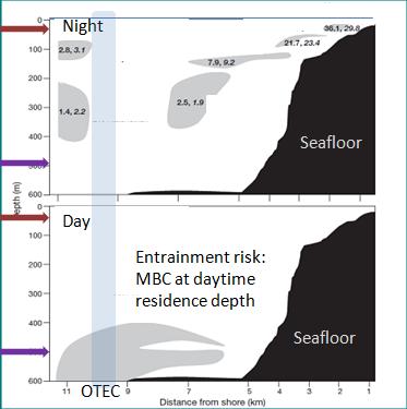 Seafloor Example: Mesopelagic boundary community Day Entrainment risk: MBC at