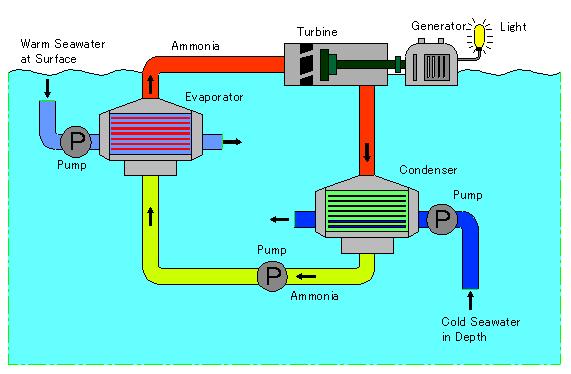 Principles of OTEC Technology 2Turbine 5Warm Seawater pump 1Evaporator 3Condenser 6Cold seawater pump 4Working fluid pump The principle is fundamentally the