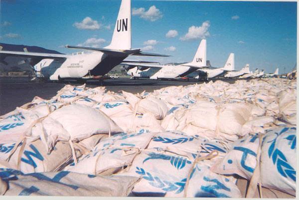 Major goods procured by the UN System Goods Food & Nutrition Pharmaceuticals &