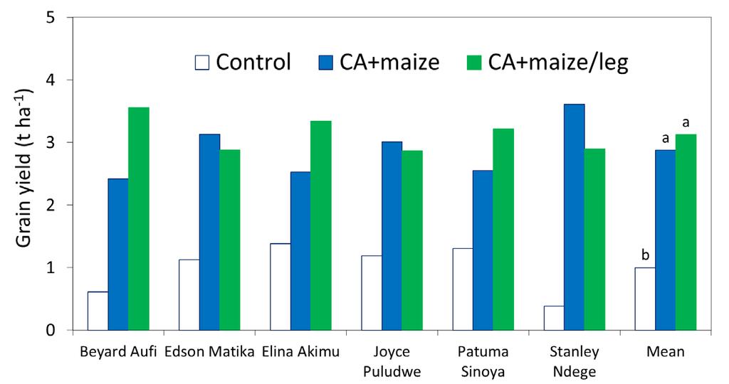 Conservation agriculture (CA) systems during El Niño ume 2 t ha -1 yield benefit of