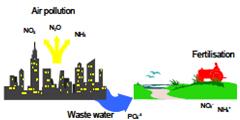(a) (b) (c) Figure 11: A simplified view of the midpoint impact categories: (a) Greenhouse effect, (b) Acidification potential and (c) Eutrophication potential (PE International, 2011) Stage 4: Life