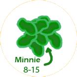 And pretty soon we have a pile consisting of Minnies 8 through 15, all descendents of Minnie the First. And so on.