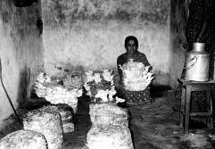 The size of tunnel is 40 feet long, 15 feet wide and 8 feet high. The investment cost for oyster mushroom production is quite low.