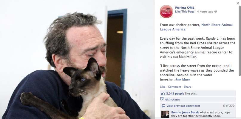 Who uses Facebook well? Pet brand PurinaOne represents Facebook marketing that uses phenomenal storytelling to stand out.