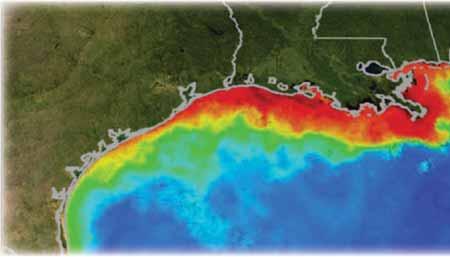 Construct management-ready and accessible ecosystem models Modeling is an important tool for developing a holistic understanding of the Gulf of Mexico ecosystem.