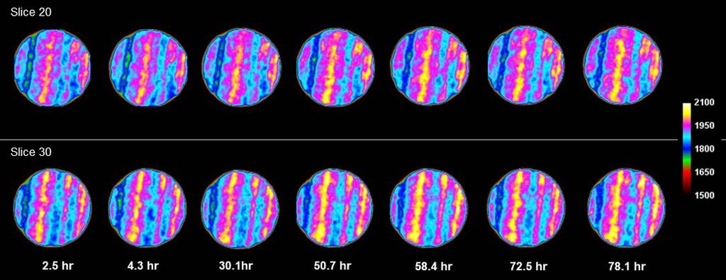 6 SPE-169022-MS Fig. 7 - CT images for slices 20 and 30 of core 1 during the 1st Experiment. The images show the change in CT number as a function of time. Fig. 8 - CT images for slices 40 and 46 of core 2 during the first experiment.