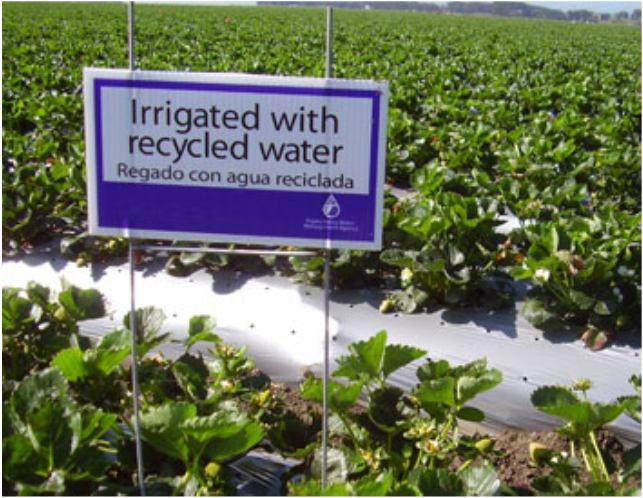 Background Reuse of treated wastewater in agriculture Opportunities Continuous water supply;