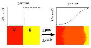 Diffusion is driven by nonuniformity Concentration Profile Diffusion Diffusion is necessary for: Redistribution of chemical species Physical changes in