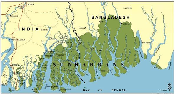 Sundarban Mangrove Ecosystem Bangladesh and India