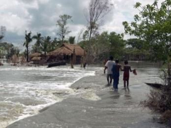 Inundation : A 45-cm sea level rise would inundate 75% of the Sundarbans, and a 67-cm rise could