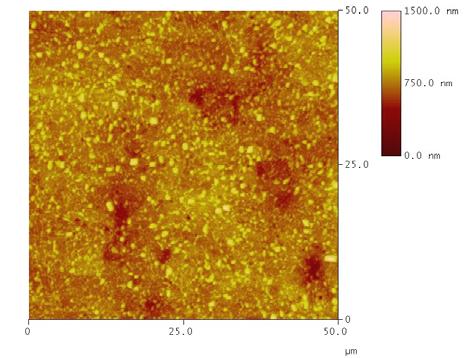 AFM Images of IMC After 10-day Ambient on 100Sn on
