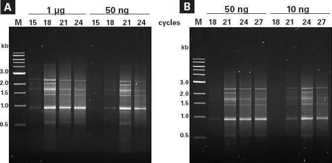 Appendix A: Typical Results of PCR and ds cdna Synthesis Figure 7. Typical results: ds cdna synthesized using the SMARTer control reagents and LD PCR protocol. Panel A.