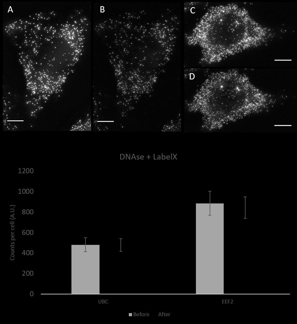 Supplementary Figure 2 Effect of LabelX on fluorescent in-situ hybridization.