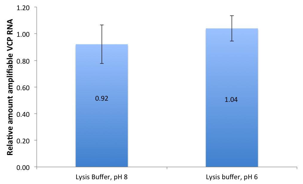 () Extractions were transferred to PS ph 6 or remained in lysis buffer ph 8 prior to crosslink reversal; data reveals no difference in RNA quality between crosslink reversal conditions.