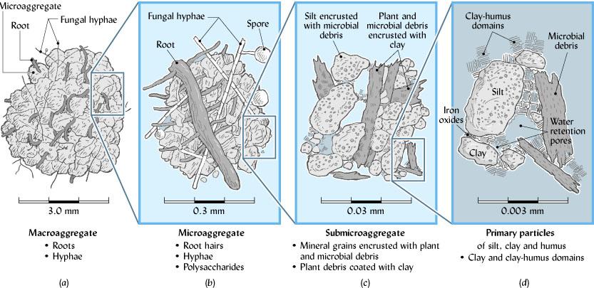 Soil Structure Figure 4.