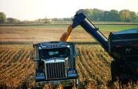 Grain K Removal (lb/ac/yr) 90 Years of Corn Trends K Removal vs Root Volume 45 40 35 30 25 20 15 Grain K Removal (Iowa) Root Volume per Plant 0.